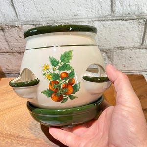 May include: A cream-colored ceramic strawberry planter with a dark green rim and base. The pot features a central graphic of orange-red tomatoes on green vines with yellow flowers. It has three side openings for planting and a matching saucer base.