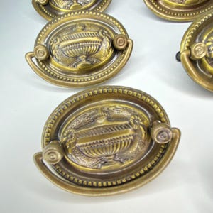 May include: Antique brass drawer pulls with an oval shape and a decorative urn design. The pulls have a detailed, textured surface and small handles on each side. The hardware is a warm, golden color.