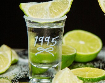 1995 Verre à shot, Verres pour le 30e anniversaire, Shot pour le 30e anniversaire, Cadeaux de 30e anniversaire, 30 ans sale, Tiny Bit Older, Cadeaux tequila, Mort à ma jeunesse