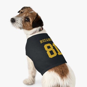 May include: A black dog shirt with the name "ROZANO" and the number "81" in gold lettering. The dog is a small breed with brown and white fur, wearing the shirt.