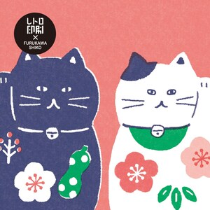 Cat Postcard/Bday/Thankyou
