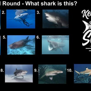 Shark Week Quizzo - Instant Download PDF File Includes Link to Google ...