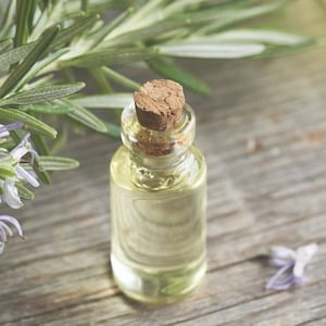The Coven’s Root Elixir | Rosemary Hair & Scalp Oil | Strengthening Hair Oil | Hydrating Herbal Infusion | Botanical Hair Growth Oil