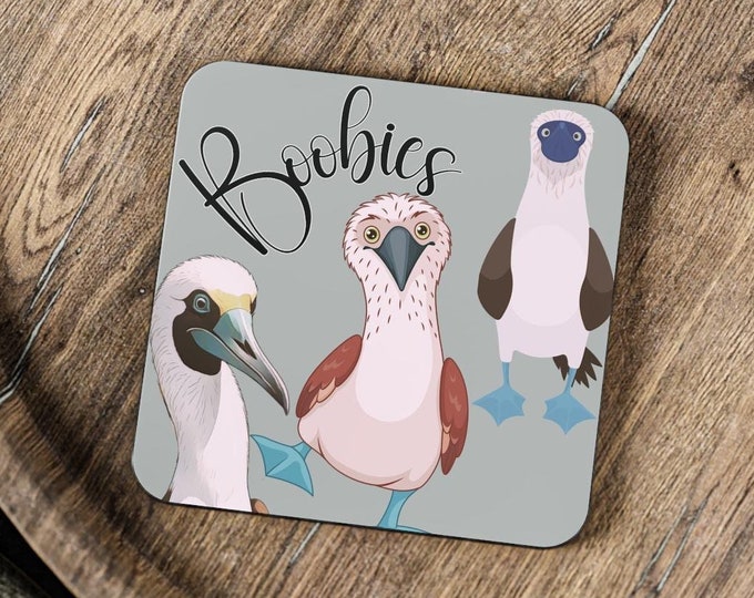 Funny Booby Bird "Boobies" Coasters | Square Cork Coasters for Drinks | Unique Booby Bird Home Decor & Gifts | Quirky and Durable Drink Mats