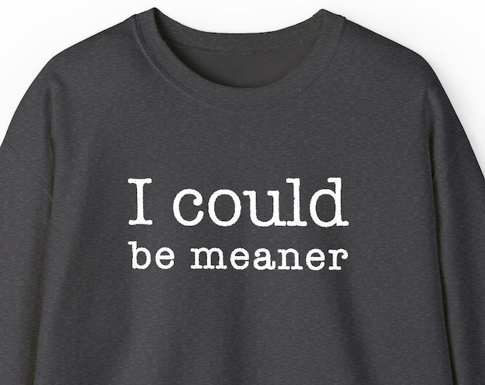 Embroidered Quote Sweatshirt: I Could Be Meaner Crewneck Sarcastic Crewneck