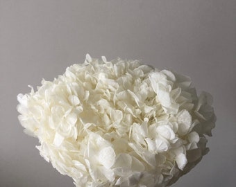 Big petal white bleached Preserved hydrangea, hydrangea, bridalflower, jewelry tool