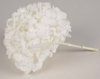 Premium quality - Big petal White Preserved hydrangea KIARA, bridal flower, Hydrangea pure blanc, jewelery resin DIY tool
