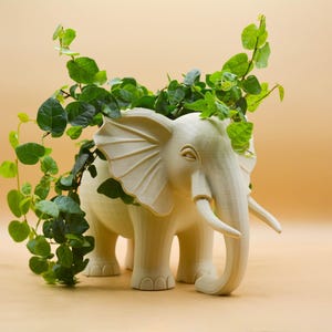 May include: A cream elephant-shaped planter with green vines spilling over the top. The elephant has tusks and large ears. The planter is a decorative item for indoor plants, ideal for a living room or conservatory.