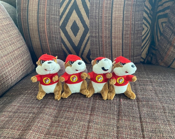 Buc-ee's 4