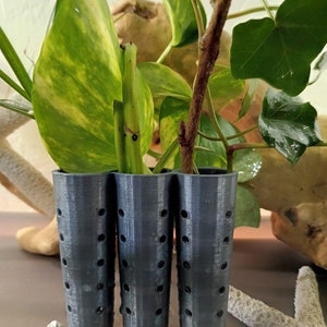 May include: Three black plastic plant supports with holes for drainage. The supports are in a row and are used to help plants grow upright.