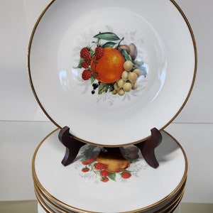 Vintage Winterling Bavaria Fruit Pattern Salad Plates Germany set of 5