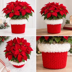 Könnte beinhalten: Eine leuchtend rote Weihnachtsstern-Pflanze in einem zylindrischen Übertopf. Der Übertopf hat eine strukturierte rote Strickbasis mit einem dicken, flauschigen weißen Kunstfellbesatz am oberen Rand, was für ein festliches Aussehen sorgt.