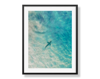 Into the Deep | Shark Silhouette in Crystal Blue Waters | Oceanic Aerial Photography Print | Nautical Wall Art | wildlife Print