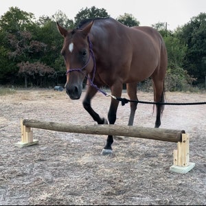 Wooden Equestrian Cavalettis pair - Three Tier