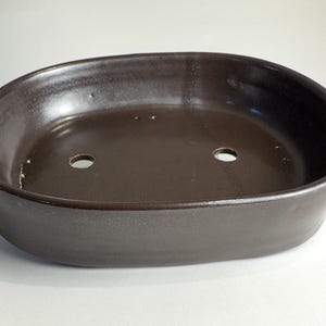 Peut inclure: Un pot à bonsaï ovale en céramique brun foncé avec deux trous de drainage au fond.