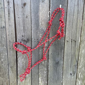 Easy-on Stiff Rope Halter - 3/8 in Nylon Rope - Horse, Pony, Mini
