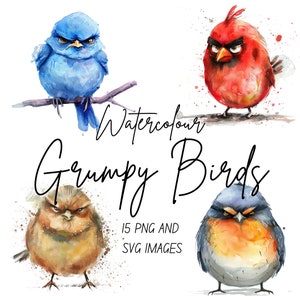 Paquete de imágenes prediseñadas de pájaros gruñones: adorables y esponjosos pájaros enojados, arte digital en acuarela, PNG y SVG de alta calidad, uso comercial
