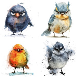 15 Grumpy Birds Clipart Bundle, Cute Fluffy Angry Birds, Digital ...