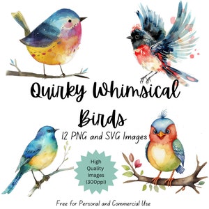 Conjunto de acuarelas con aves extravagantes: 12 pájaros extravagantes, decoración de pared imprimible, ilustraciones únicas para el hogar y la oficina