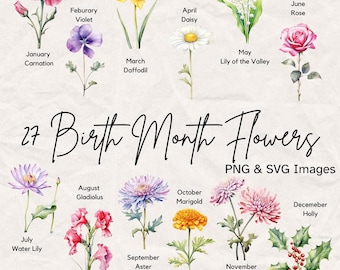 Birth Month Flower Watercolor Clipart Set, 27 PNG And SVG Files
