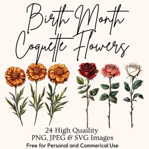 Four orange marigolds and four red, pink, and white roses are arranged in two rows, with text "Birth Month Coquette Flowers" above and "24 High Quality PNG, JPEG & SVG Images Free for Personal and Commerical Use" below.