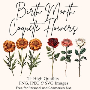 Lot de 24 coquettes de fleurs pour le mois de naissance, lot de 3 fleurs de naissance vintage PNG, clipart anniversaire, Illustration florale mensuelle SVG, impressions florales