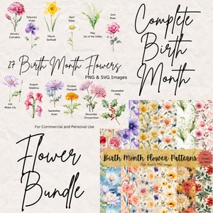 Pacote de clipart de flores do mês de nascimento em aquarela, PNG de flores do mês de nascimento, inclui padrões sem emenda de flores do mês de nascimento, ideias para presentes de papel digital