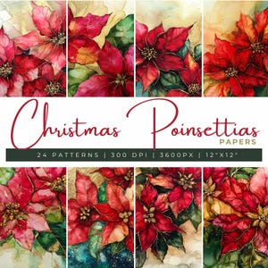 May include: A digital paper pack featuring 24 patterns of red poinsettia flowers with gold accents. The patterns are 300 DPI, 3600 pixels, and 12 inches by 12 inches.