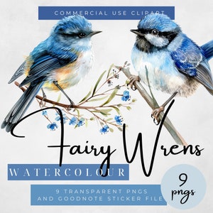 Clipart aquarelle de troglodytes de fées, autocollants oiseau bleu, autocollants Goodnotes, art mural troglodyte des fées, illustrations de troglodytes, clipart pour usage commercial