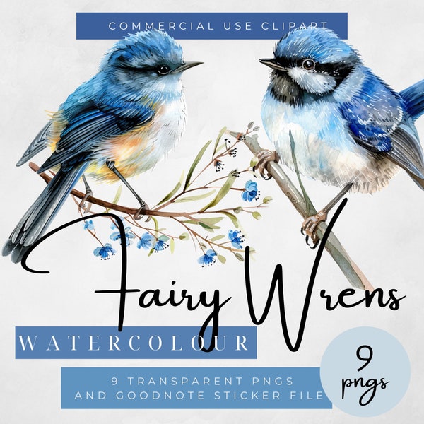 Watercolour Fairy Wrens clipart, Blue Bird Stickers, Goodnotes Stickers, Fairy Wren Wall Art, Wren Illustrations, Clipart for commercial use