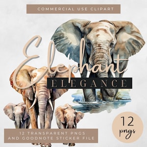 Imágenes prediseñadas de elefantes, pegatinas de elefantes, pegatinas de Goodnotes, PNG transparentes, imágenes prediseñadas para uso comercial, arte mural de elefantes, elefantes