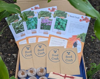 Letterbox Herb Seed Kit: Grow Your Own Herb Garden