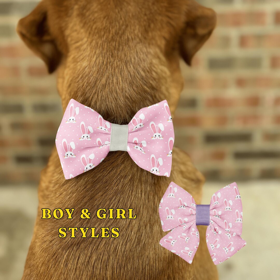 Kid makes bow ties for dogs sales