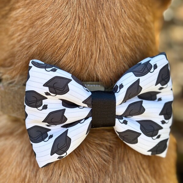 Graduation Cap Bow Tie ~ Dog, Puppy, Cat Collar Slip-On ~ Soft and Poofy ~ Handmade