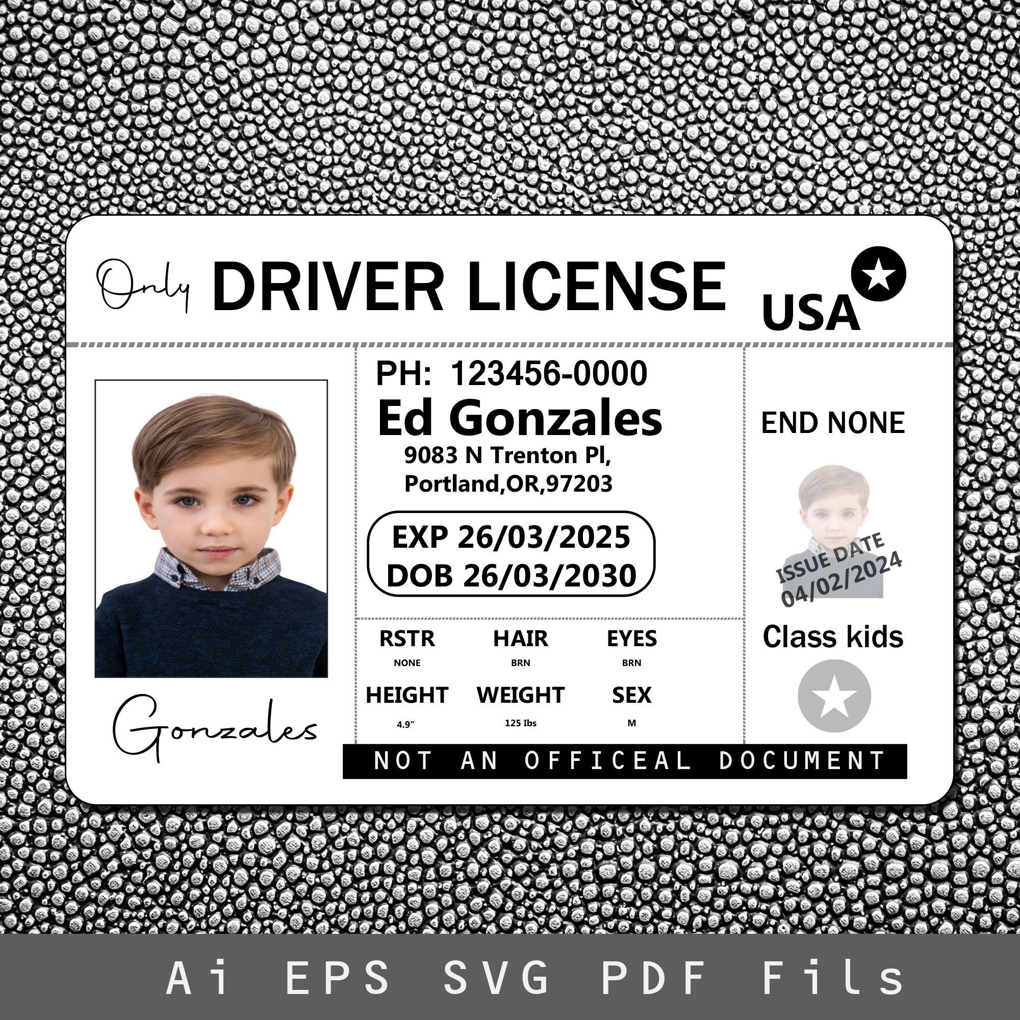 Buy Identification Card Hull Car License 3 Teilig 105 x 210 mm, PP 180my,  Document-Quality Online at desertcartINDIA