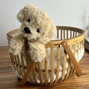 May include: A plush, beige teddy bear sits in a round, woven bamboo basket with a wooden handle. The basket is lined with white fabric. The teddy bear has a black nose and eyes.