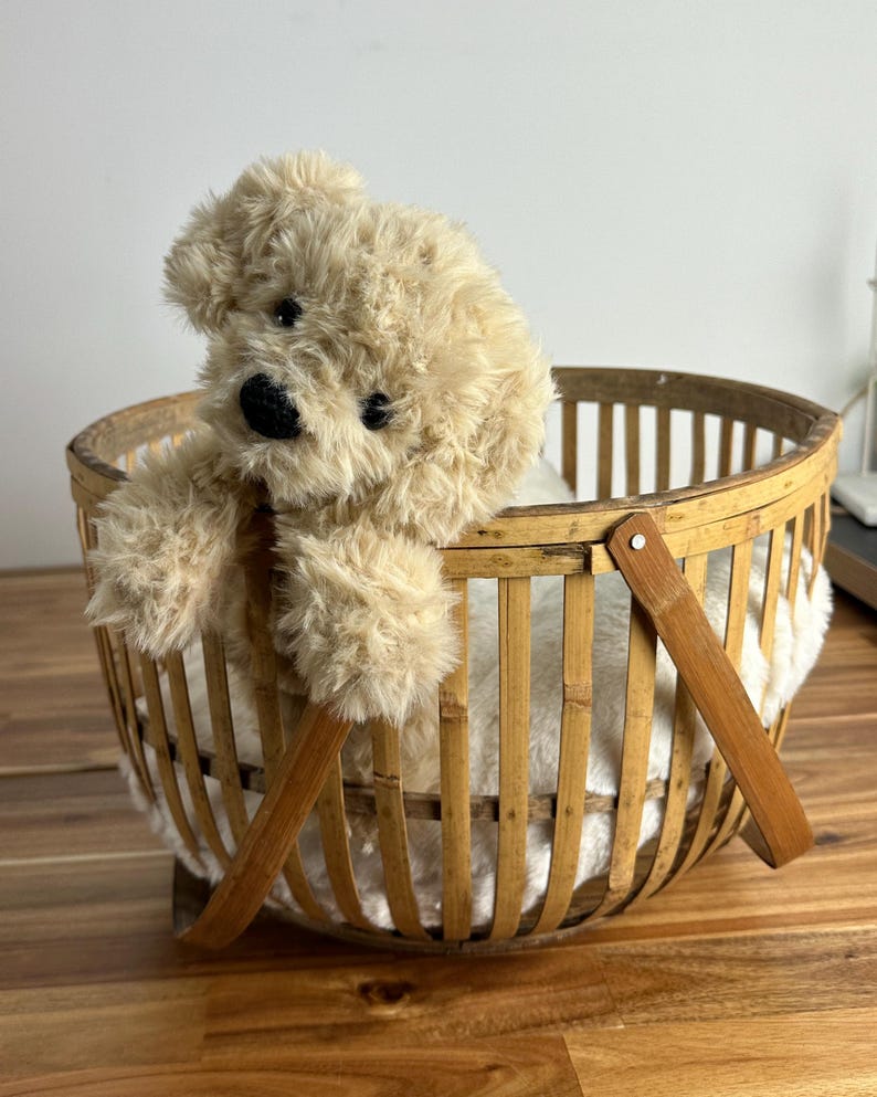May include: A plush, beige teddy bear sits in a round, woven bamboo basket with a wooden handle. The basket is lined with white fabric. The teddy bear has a black nose and eyes.