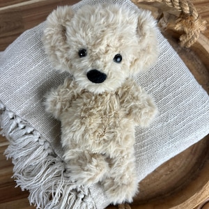 May include: A plush, beige teddy bear with a black nose and eyes, resting on a fringed, light-colored blanket. The bear is positioned in a wooden bowl, with a rope detail visible.