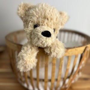 May include: A plush, light brown teddy bear with a black nose and eyes peeking over the edge of a woven basket. The basket has a light brown wooden frame and a white interior.