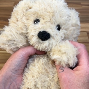 May include: A plush, cream-colored puppy dog with floppy ears and a black nose. The stuffed animal has black button eyes and soft, fluffy fur. The toy is held in a person's hands.