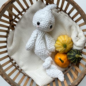 Op de afbeelding: Een handgemaakte witte gehaakte spookpop met zwarte ogen en roze wangen rust op een witte wafelgeweven deken in een houten mand. Naast het spook liggen drie kleine pompoenen in geel, oranje en groen.