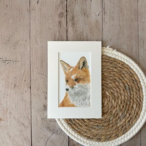 A5 Print | Fox | With mount | Fine Art Print | Mounted Print | Print | Drawing | Wild Animals | Animals in the Wild