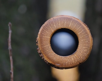 Very Old Japanese Bamboo Shakuhachi / Jinashi style - 2/6 shaku - key G