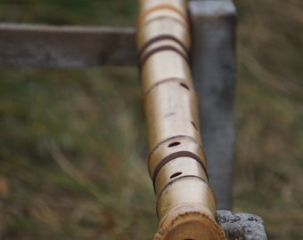 Japanese Shakuhachi Flute made of very strong bamboo, key F