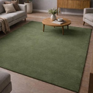 May include: A rectangular olive green rug dominates the living room. The rug is surrounded by a sofa, coffee table, and other furnishings. The rug's colour provides a natural element to the room's decor. The rug measures approximately 200cm x 300cm.