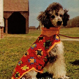 May include: A poodle wearing a red and yellow crochet dog coat with blue and green floral accents. The dog coat has a matching orange collar. The text "DOG COAT" is at the top of the image, and "BritKnits Vintage" is at the bottom.