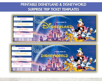 Modello di biglietto a sorpresa Disneyland stampabile, biglietto Disneyworld, rivelazione regalo, regalo di compleanno, carta d'imbarco modificabile, download istantaneo,