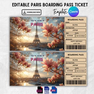 Carta d'imbarco Parigi, Viaggio a sorpresa a Parigi, Modello di carta d'imbarco a sorpresa, Stai andando a Parigi, Carta d'imbarco stampabile, Biglietto aereo