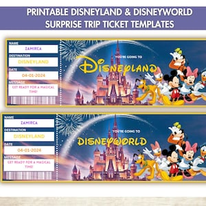 Modello stampabile per biglietto a sorpresa Disneyland, biglietto Disneyworld, presentazione regalo, regalo di compleanno, carta d&#39;imbarco modificabile, download immediato