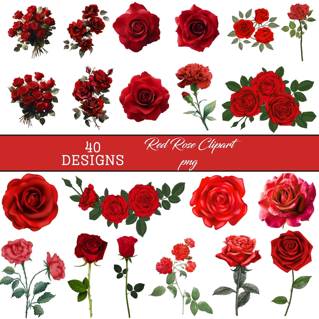 Red Rose Clipart Png Bundle, Red Rose Clipart, Watercolor Red Rose ...